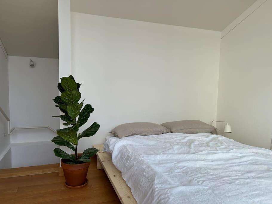トレントCasa Alegriaアパートメント エクステリア 写真