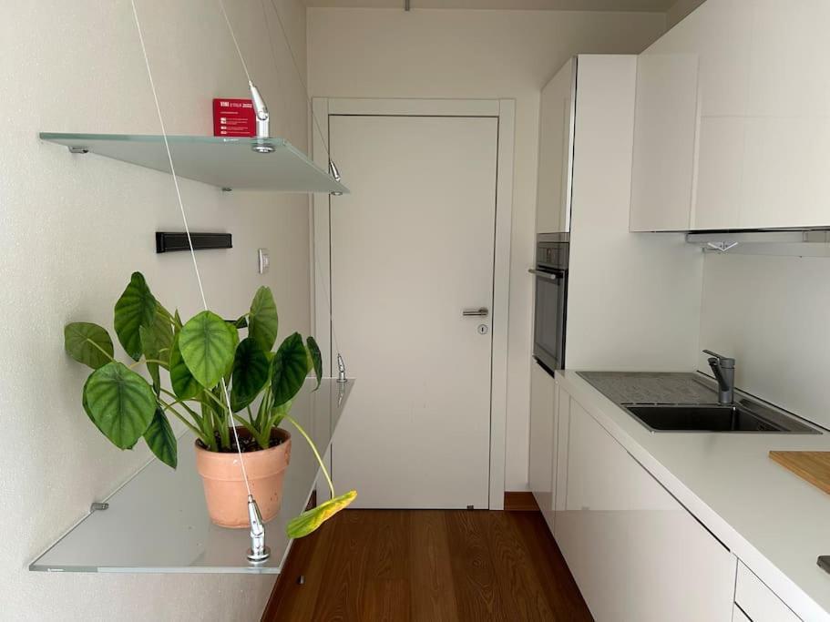トレントCasa Alegriaアパートメント エクステリア 写真